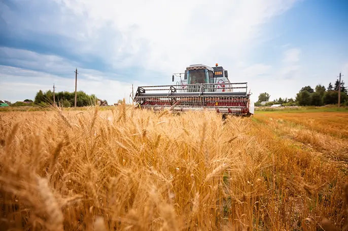 European agricultural productions through America`s eyes