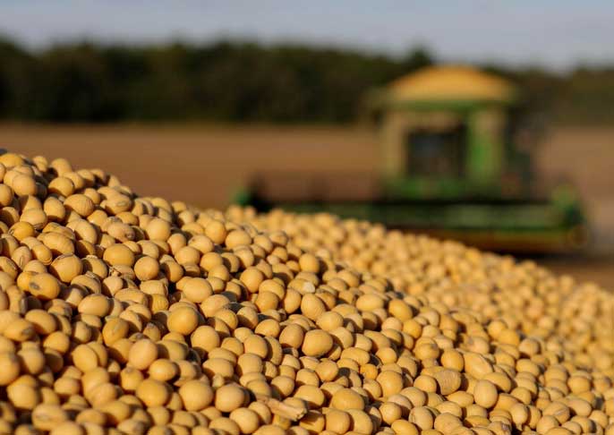 The impact of soybean production on the world market