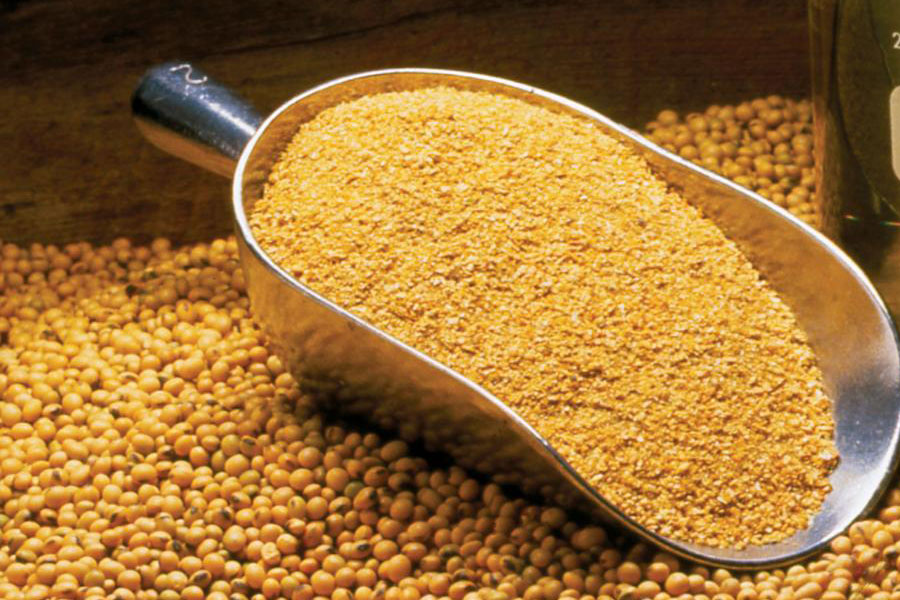 Soybean meal – normality during emergency state?