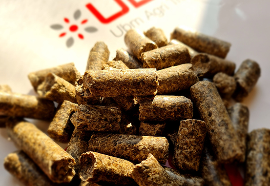 Sugar beet pulp pellets